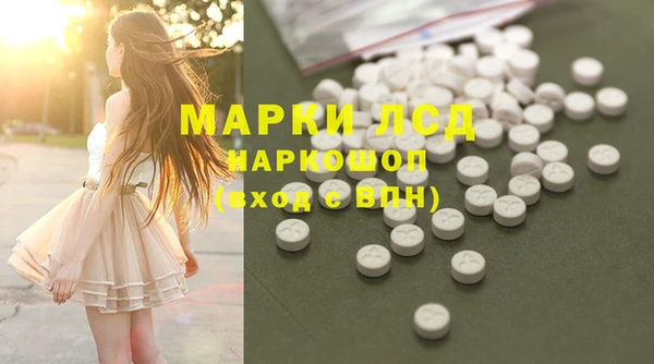 ПСИЛОЦИБИНОВЫЕ ГРИБЫ Костерёво