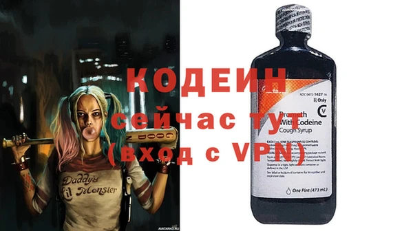 стаф Коряжма