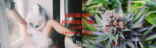 ПСИЛОЦИБИНОВЫЕ ГРИБЫ Костерёво
