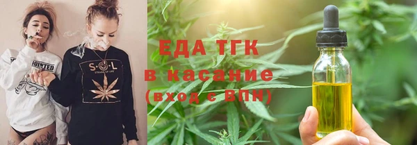 стаф Коряжма