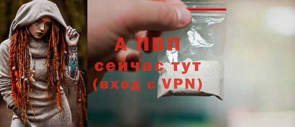 стаф Коряжма
