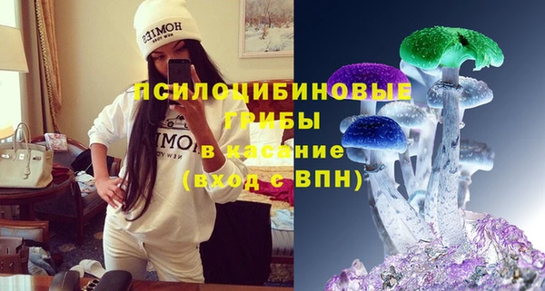 стаф Коряжма