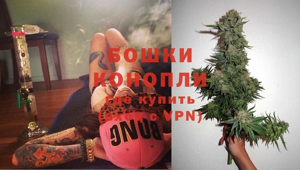 стаф Коряжма