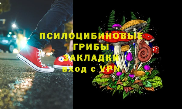 стаф Коряжма