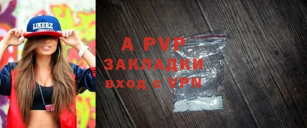 стаф Коряжма