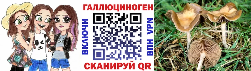 Галлюциногенные грибы MAGIC MUSHROOMS  Красный Кут 